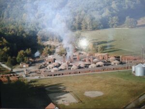 Plant 1988