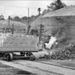Clarence rolling brick on tracks to and from kilns. 1954