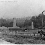 Oldest know photo of the plant