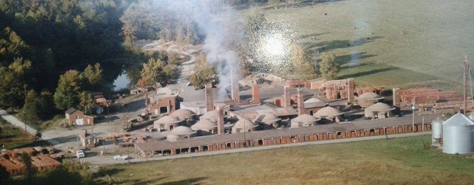 Plant in the 1980s